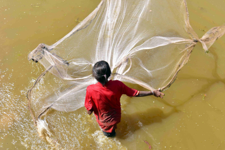 A woman casts a net for fish in Cambodia's Tonle Sap lake.