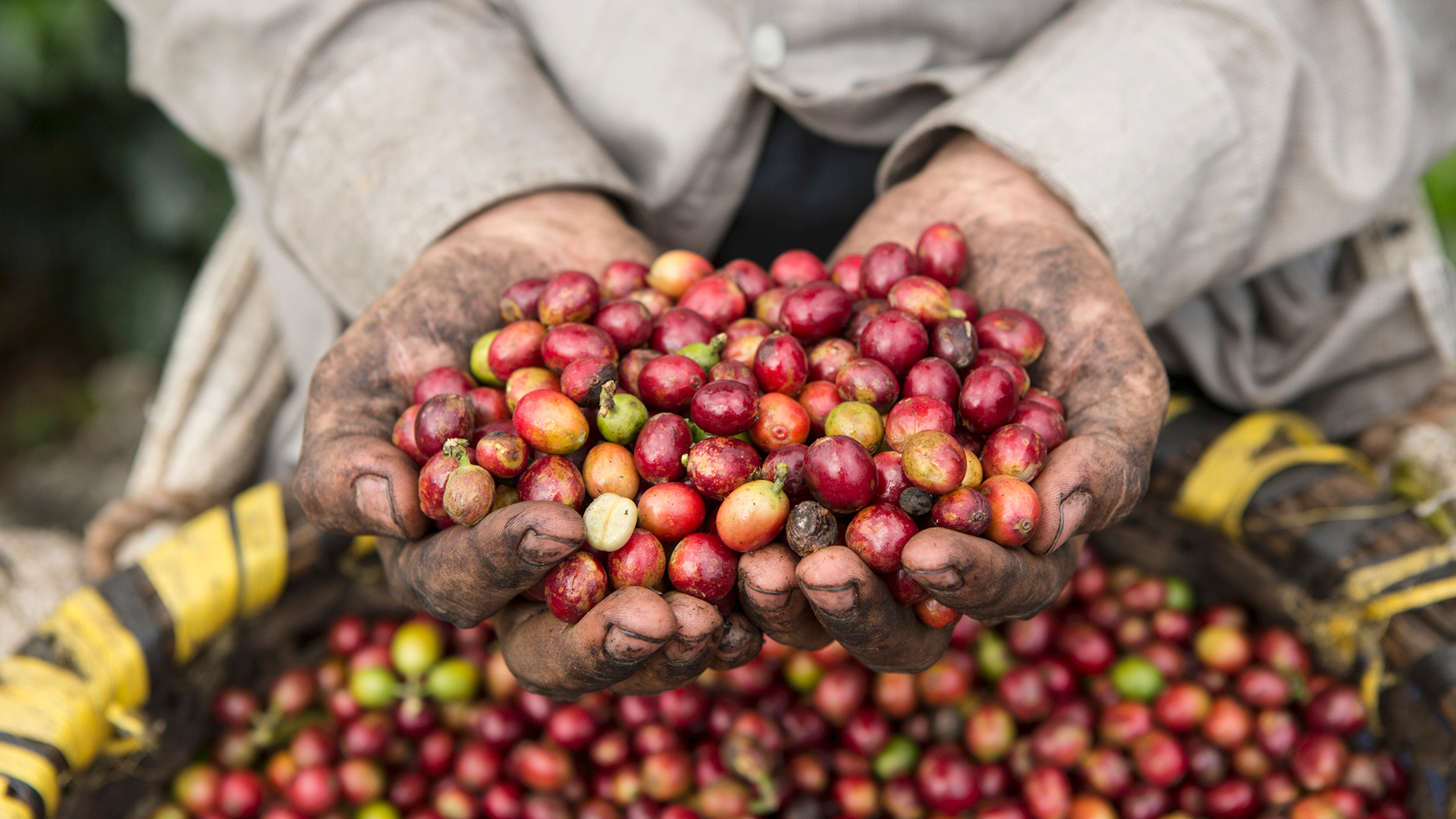 Inclusión financiera la clave para el progreso postpandemia y