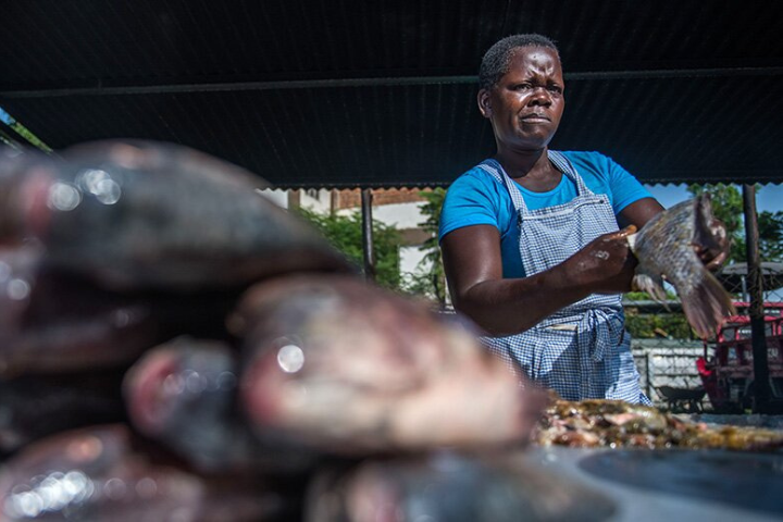 A woman in an outdoor market guts fish. 